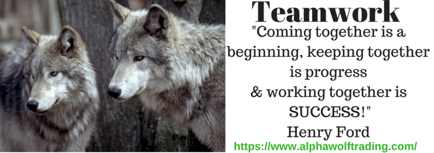 Teamwork