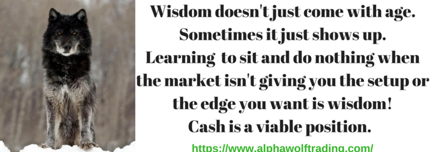 Wisdom%20doesn%27t%20come%20only%20with%20age.