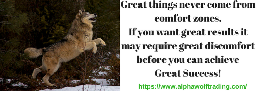 Great%20things%20never%20come%20from%20comfort%20zones