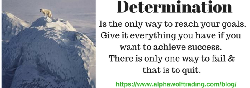 Determination%202