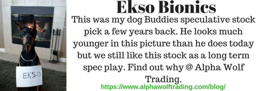 Ekso%20bionics