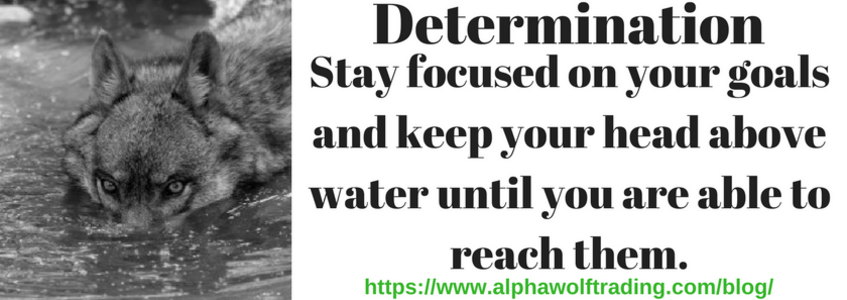 Determination