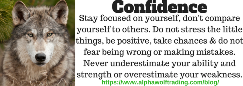 Confidence%202