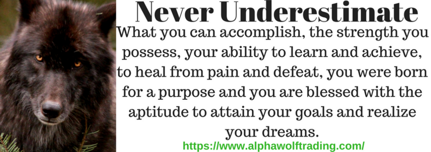Never%20underestimate