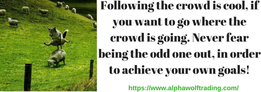 Following%20the%20crowd%20is%20cool%2c%20if%20you%20want%20to%20go%20where%20the%20crowd%20is%20going.%20never%20fear%20being%20the%20odd%20