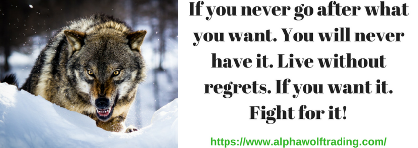 If%20you%20never%20go%20after%20what%20you%20want.%20you%20will%20never%20have%20it.%20live%20without%20regrets%20if%20you%20want%20it.%20